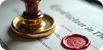 IP & Licensing